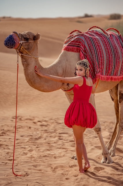 Red in the Desert Dress