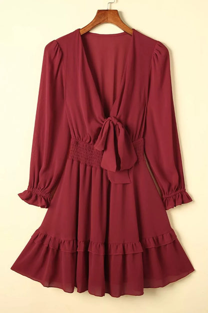 Elegant Tie-Front Ruffle Mini Dress with Smocked Wiast
