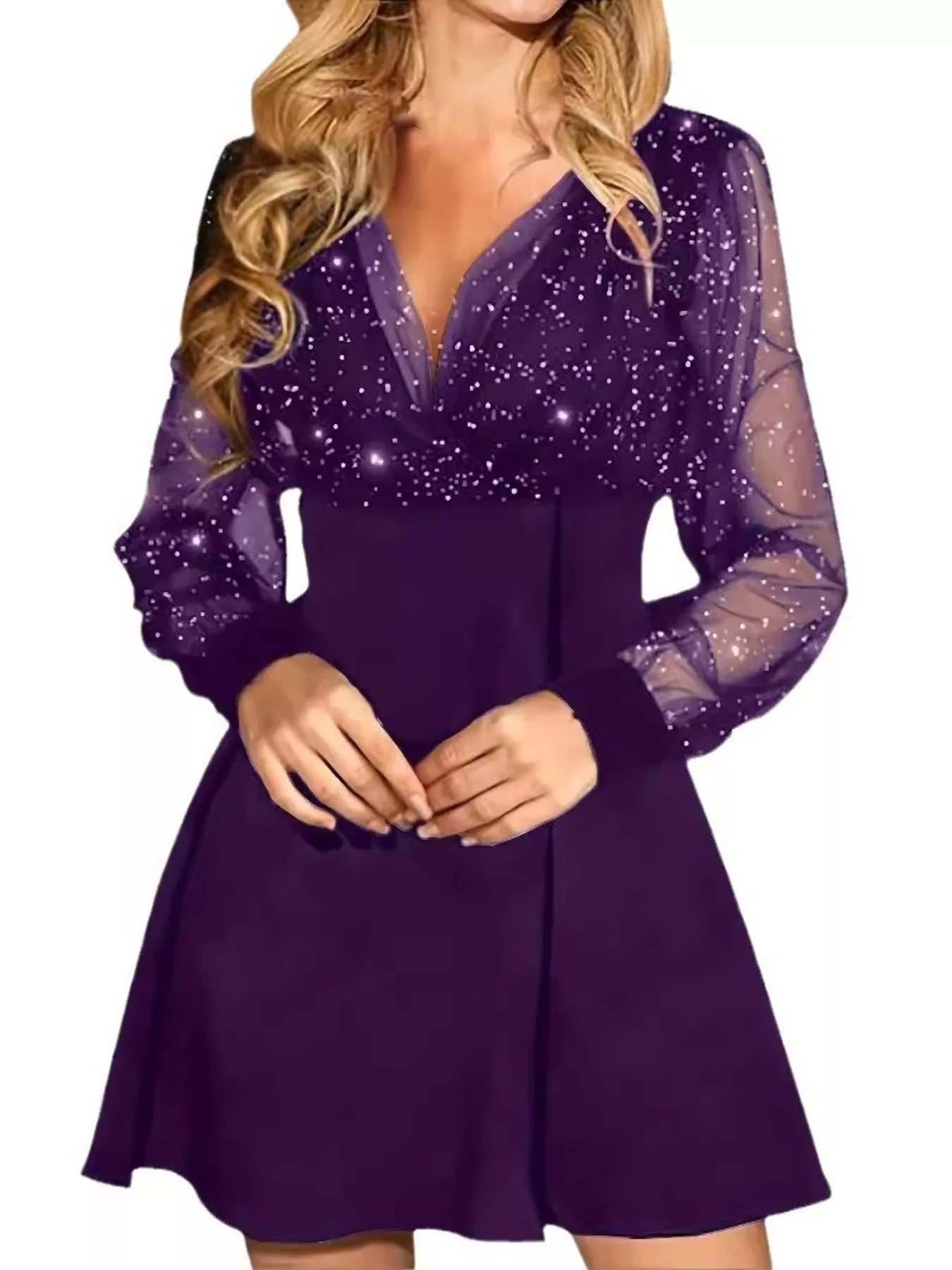 Glitter Mesh Long Sleeve Mini Dress