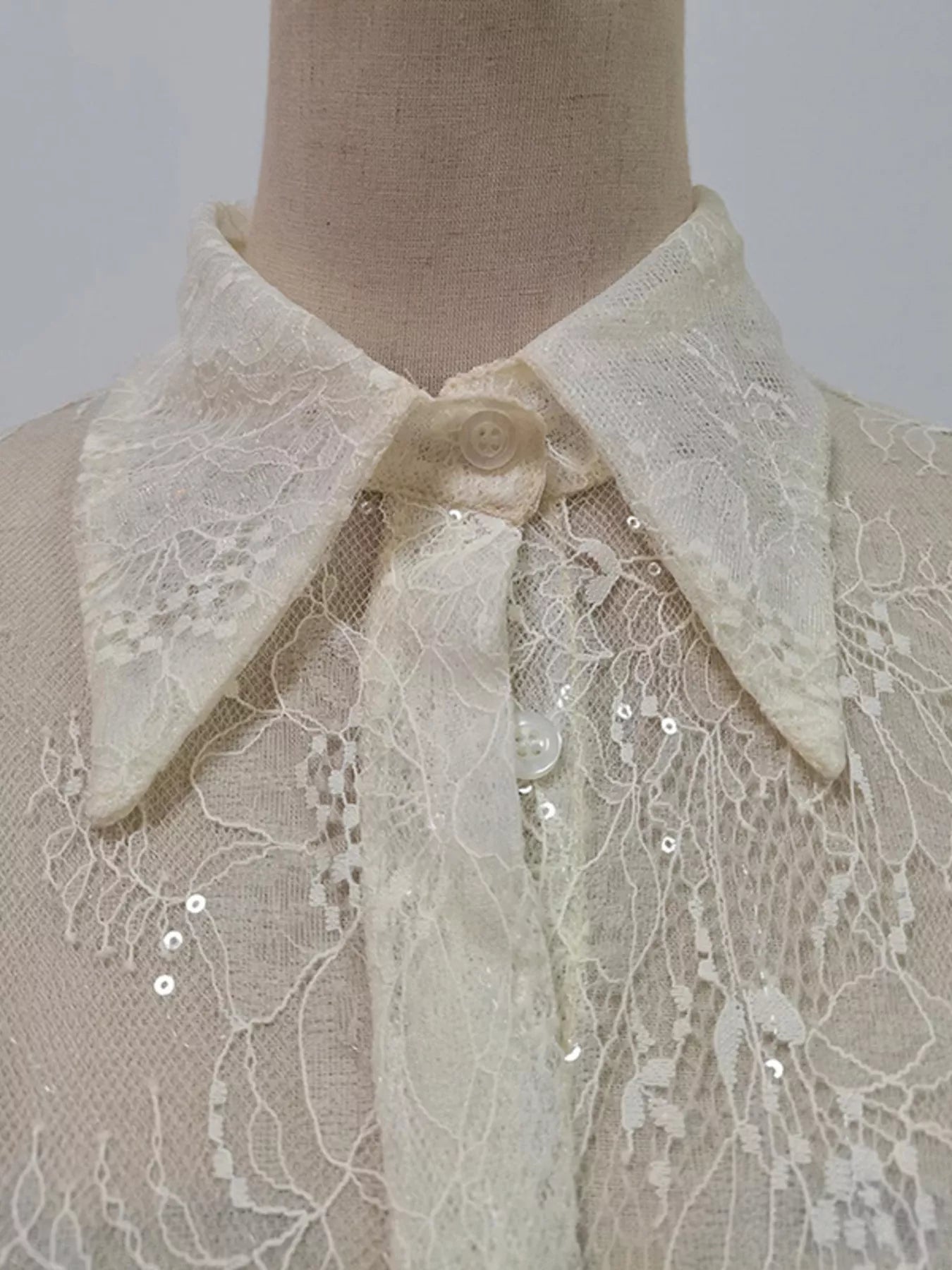 Ruffled Hem Lace Long Sleeve Dress