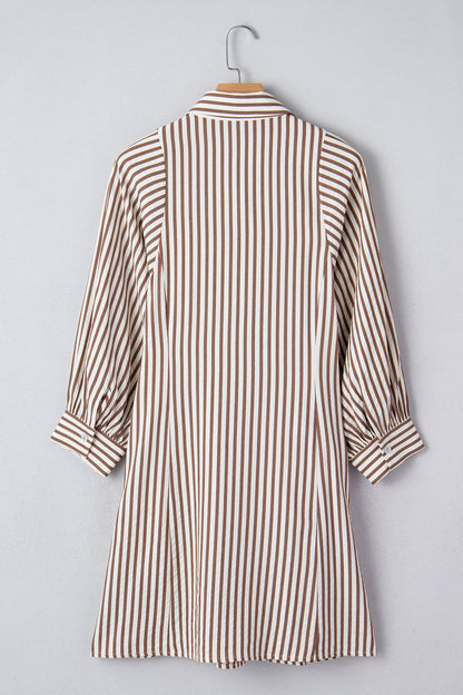 Hanna Sleeve Down Mini Shirt