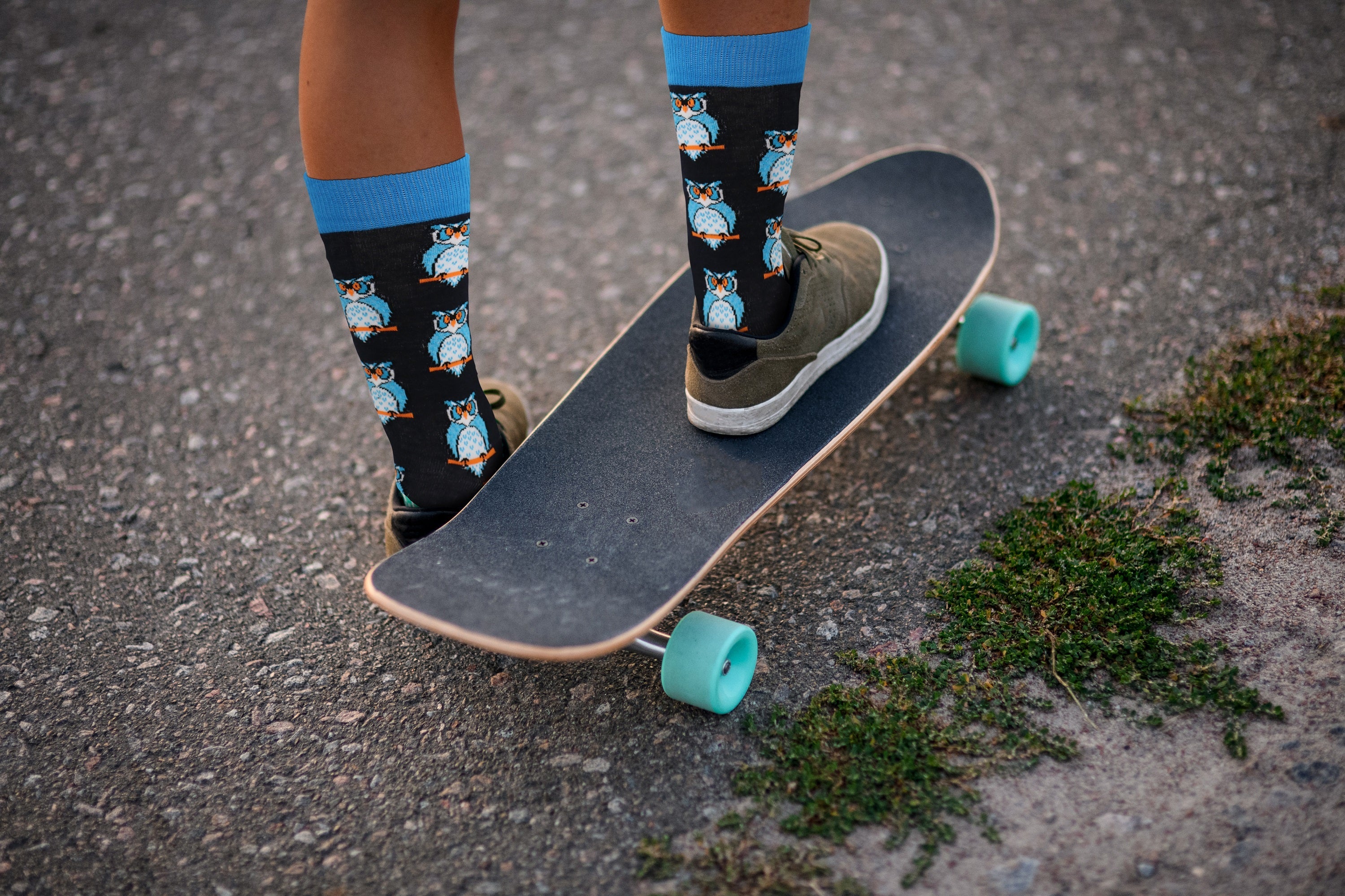 Owl Socks - Comfy Cotton for Men & Women