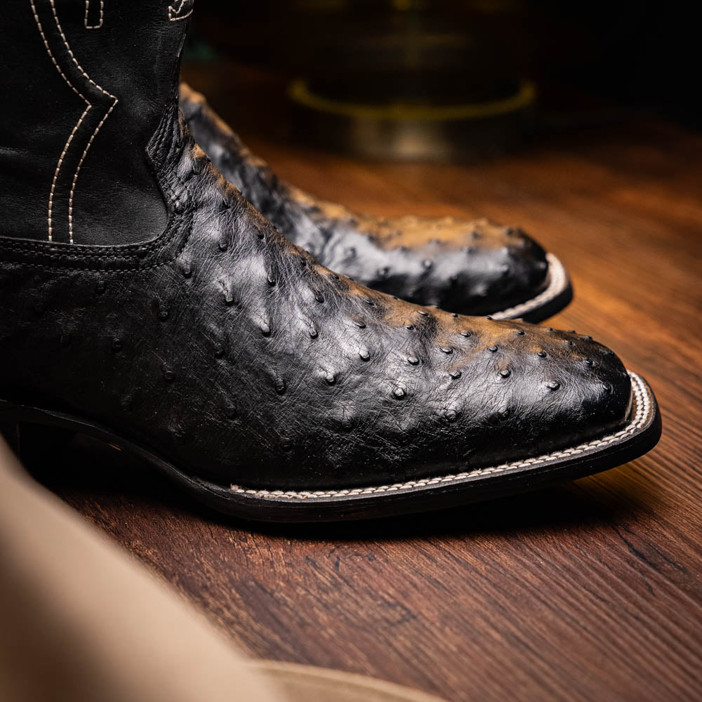 Alabama Black